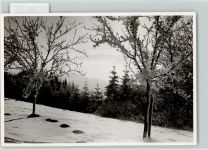59846 W5768 Langscheid , Sorpesee FOTO KEINE AK Winter