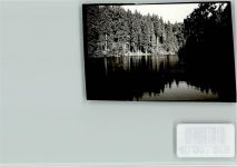 94556 W8351 Waldhäuser FOTO KEINE AK an der Martinsklause