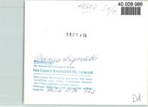96193 W8602 Weingartsgreuth FOTO KEINE AK Luftaufnahme