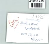 97846 W8775 Partenstein im Spessart FOTO KEINE AK Sportpfad