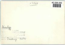 88353 W7964 Kißlegg FOTO KEINE AK