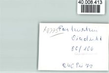 97846 W8775 Partenstein im Spessart FOTO KEINE AK Viadukt