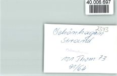24398 W2343 Schönhagen , Schwansen FOTO KEINE AK Strand