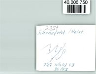 25560 W2216 Schenefeld , Mittelholst FOTO KEINE AK