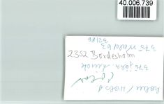 24582 W2352 Bordesholm FOTO KEINE AK