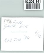 93474 W8491 Eck , Niederbay FOTO KEINE AK Pony beim Gasth. Eck