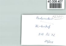 97846 W8775 Partenstein im Spessart FOTO KEINE AK Hotel Hirtenhof Terrasse