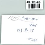 97846 W8775 Partenstein im Spessart FOTO KEINE AK