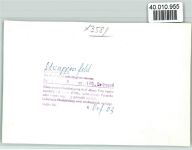34593 W3589 Appenfeld FOTO KEINE AK