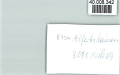 97725 W8731 Elfershausen , Unterfr FOTO KEINE AK Innenaufnahme Restaurant Getränkeauswahl