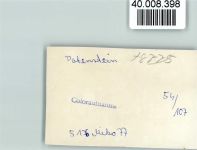 97846 W8775 Partenstein im Spessart FOTO KEINE AK