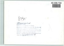 93491 W8491 Stamsried FOTO KEINE AK