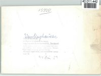 57319 W5920 Wemlighausen , Kr Wittgenstein FOTO KEINE AK