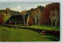 Serie II Nr. 19 - Schwarzwaldhäuser - Künstlerpostkarten aus dem Schwarzwald Harbers