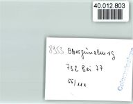 87634 W8953 Obergünzburg FOTO KEINE AK
