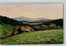 Schwarzwaldhäuser Nessel