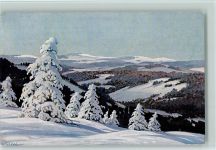Schwarzwald im Winter , Moos Serie IV Nr. 1 AK Nessel