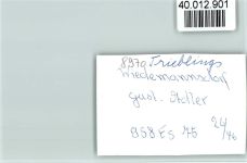 87534 W8974 Wiedemannsdorf FOTO KEINE AK Gasthof Adler Innenaufnahme