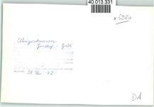 57319 W5920 Wingeshausen FOTO KEINE AK Gasthof Grebe Innenaufnahme