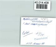 32278 W4983 Kirchlengern FOTO KEINE AK
