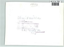 92287 W8456 Schmidmühlen FOTO KEINE AK