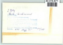 26409 W2944 Carolinensiel , Ostfriesl FOTO KEINE AK Hafen