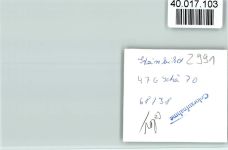 26892 W2992 Steinbild FOTO KEINE AK