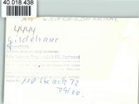 48455 W4444 Gildehaus FOTO KEINE AK am Kriegerdenkmal