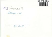 48607 W4434 Ochtrup FOTO KEINE AK Restaurant Brinckwirth