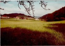 35216 W3560 Dexbach FOTO KEINE AK