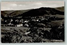 52396 W5169 Hasenfeld