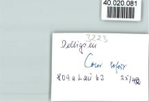 31073 W3223 Delligsen FOTO KEINE AK