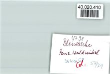 33181 W4798 Bleiwäsche FOTO KEINE AK Pension Waldwinkel