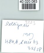 31073 W3223 Delligsen FOTO KEINE AK