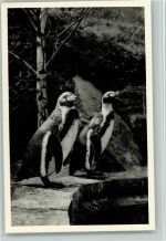 des Versandhauses Nordland in Osnabrück Pinguin