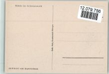 Mühle im Schwarzwald Moralt, W. Künstlerkarte