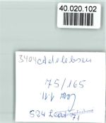37139 W3404 Adelebsen FOTO KEINE AK