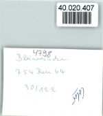 33181 W4798 Bleiwäsche FOTO KEINE AK