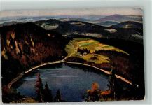 Schwarzwald - Feldsee 1925 AK Moralt, W. Künstlerkarte