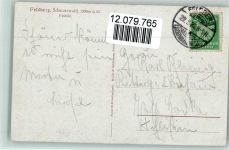 Schwarzwald - Feldsee 1925 AK Moralt, W. Künstlerkarte