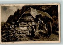 Schwarzwaldhaus, Bauernhaus ,Brunnen Moralt, W. Künstlerkarte