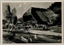 Altes Schwarzwaldhaus , Pferdegespann mit Holz beladen , Bauern Moralt, W. Künstlerkarte