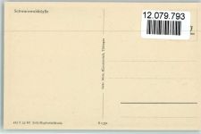 Altes Schwarzwaldbauernhaus am Bach Hertter, J. Künstlerkarte