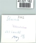 37441 W3423 Steina , Südharz FOTO KEINE AK