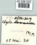32676 W4927 Köterberg , Lippe FOTO KEINE AK Winter