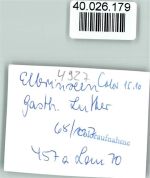 32676 W4927 Elbrinxen FOTO KEINE AK Gasth. Lutter