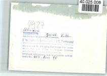 32676 W4927 Elbrinxen FOTO KEINE AK Gasthaus Luther Innenaufnahme