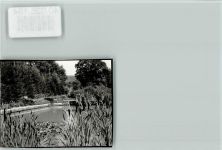 32676 W4927 Elbrinxen FOTO KEINE AK Teich Schilf