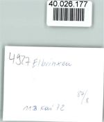 32676 W4927 Elbrinxen FOTO KEINE AK