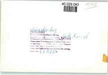 59955 W5788 Neuastenberg FOTO KEINE AK Gasth. Rossel Innenaufnahme